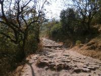 Path leading to 
Sinhagad