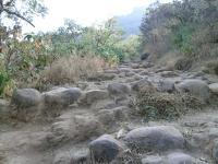 Path leading to Sinhagad