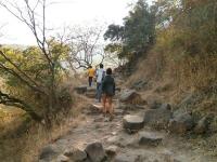 Path leading to Sinhagad