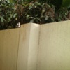 Picture of a wall